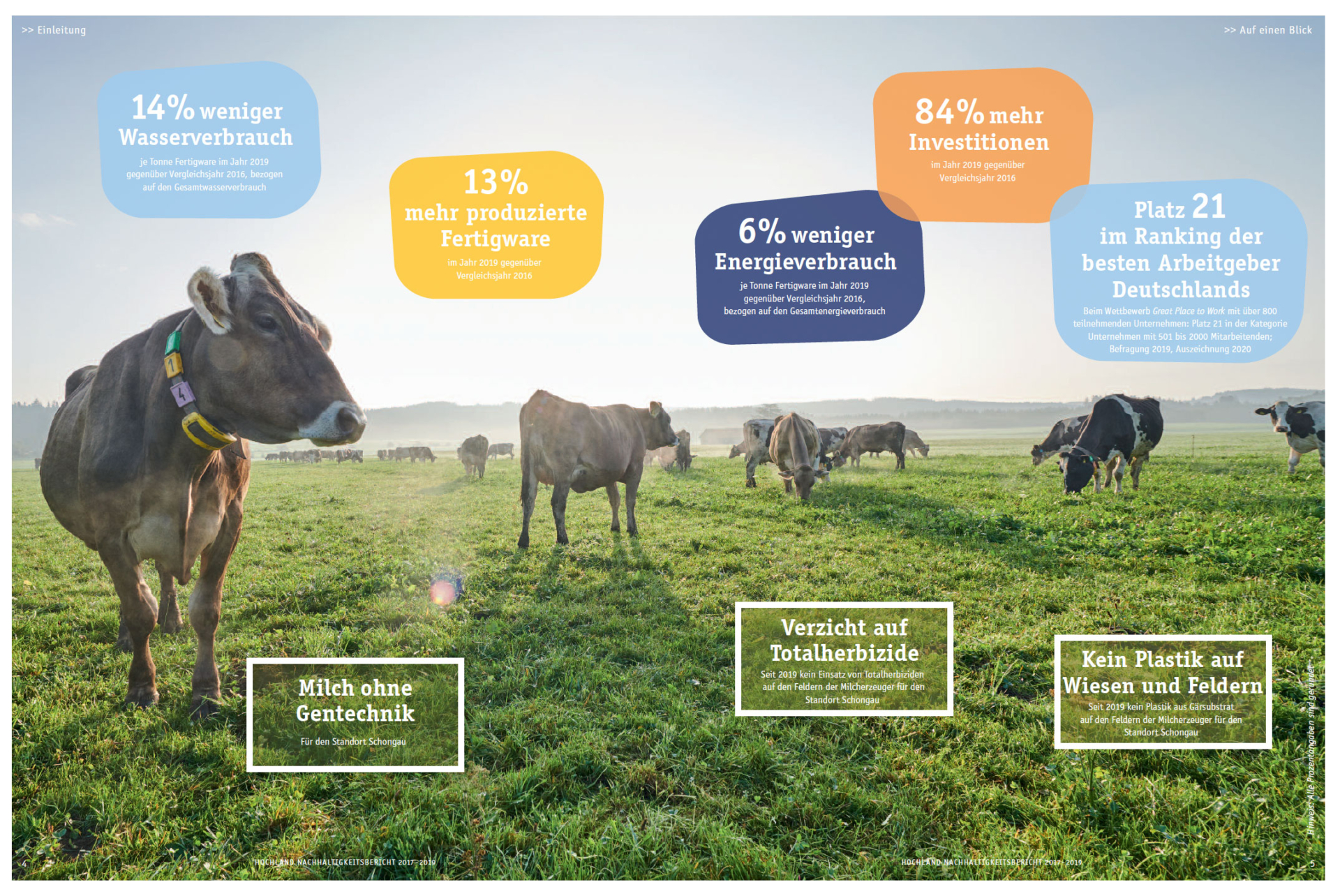 Doppelseite des Hochland-Nachhaltigkeitsberichts mit Kühen und Infografik
