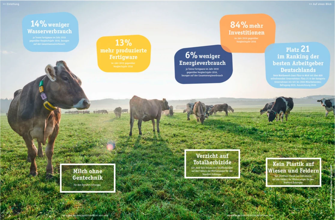Doppelseite des Hochland-Nachhaltigkeitsberichts mit Kühen auf einer Wiese und farbigen Infografiken